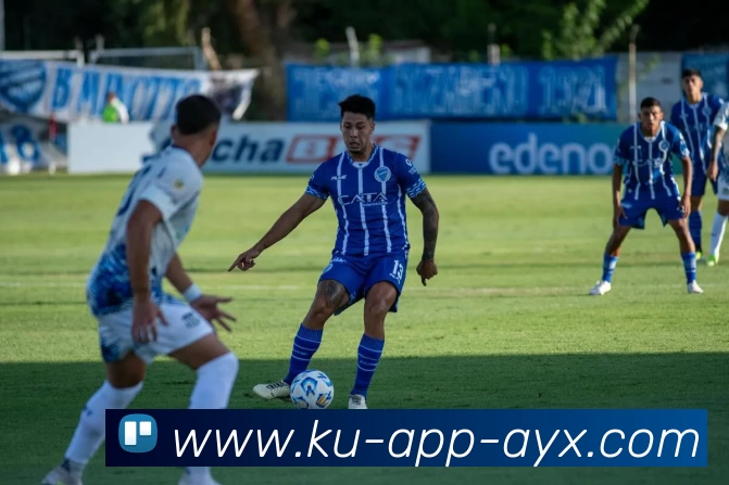 爱游戏AYX平台生态图