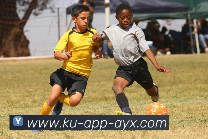 爱游戏AYX全站App